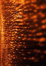 地平線：擊退黑客