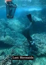 最後的美人魚