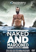 只身在荒島60天