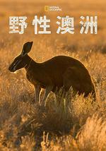 野性澳大利亞