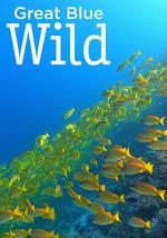 無垠的狂野藍海 第一季