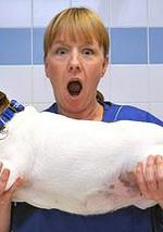 肥寵年度減肥大賽 第一季