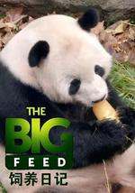 飼養日記 第一季