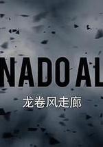 龍捲風走廊 第二季