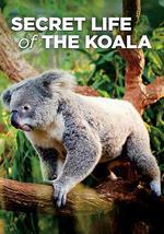 考拉的秘密生活 第一季