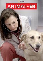 動物急症室 第一季