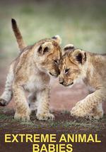 極致動物幼崽 第一季