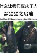 什麽讓我們變成了人——黑猩猩之啟迪