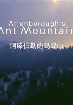 阿滕伯勒的螞蟻山
