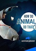 動物奇門功夫 第二季