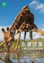 水塘故事：非洲動物的生命綠洲