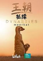 王朝：狐獴特輯