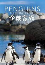 企鵝家族