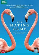 求偶游戲