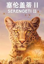 塞倫蓋蒂 第二季
