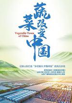 蔬菜改變中國