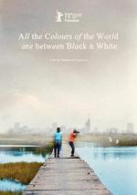 黑白之間是彩色世界