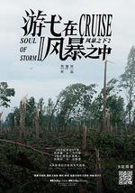 游弋在風暴之中