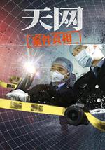天網：案件真相