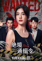 絕境通緝令