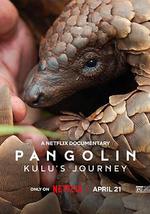 穿山甲Kulu的旅程