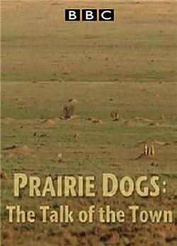 自然世界 草原土撥鼠：語言大師