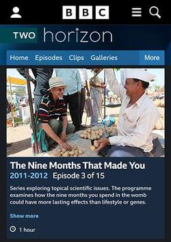 BBC 地平線系列: 懷胎九月