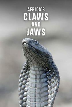 非洲動物的致命武器 第一季