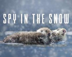冰雪間諜