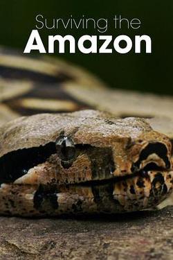 挑戰亞馬遜 第一季