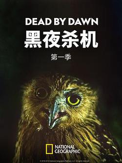 黑夜殺機 第一季