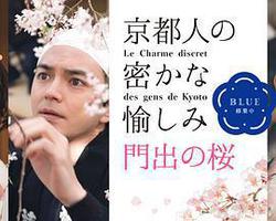 京都人的私房雅趣 Blue修業中 門出之櫻