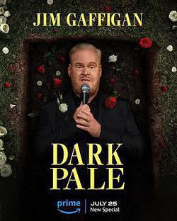 吉姆·加菲根：暗淡