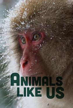 Animals Like Us Season 1