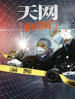 天網：案件真相
