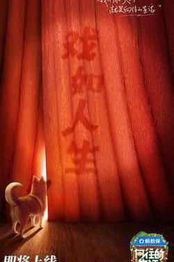 向往的生活 第八季