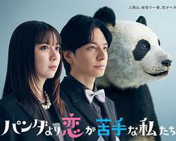 比熊貓更不擅長戀愛的我們